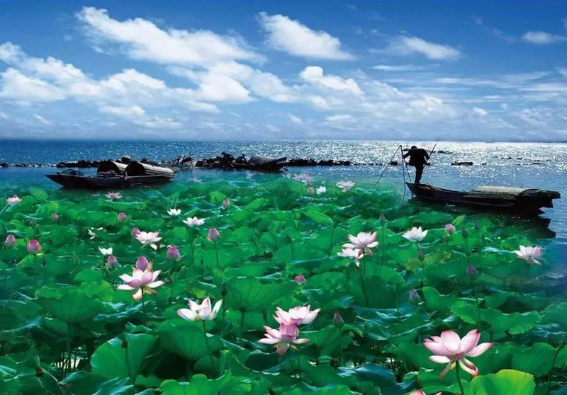 图片1.jpg 图片1.jpg