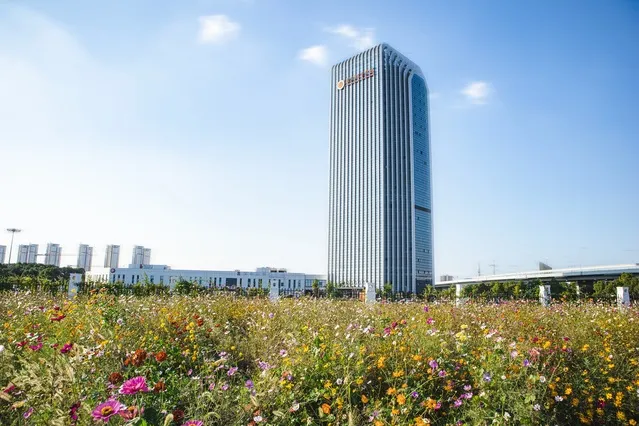 d788d7a2-6cc5-48b3-9c58-66dd860b9173.png d788d7a2-6cc5-48b3-9c58-66dd860b9173.png